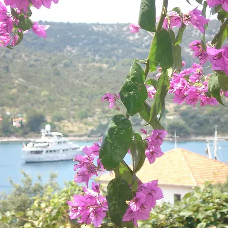 In 100m From The Sea * Vinišće